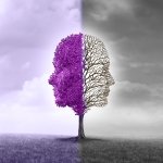 Päivi Hökkä, Salme Mahlakaarto ja Tarja Turtio-Annanolli